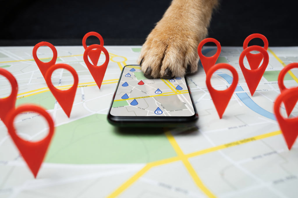Dog paw on phone searching for local pet business with map icons