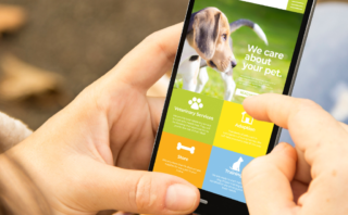Hands holding phone look at modern pet business website design and development
