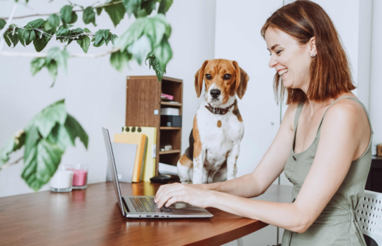 Woman searches online for pet sitters, groomers and veterinarians with her dog.