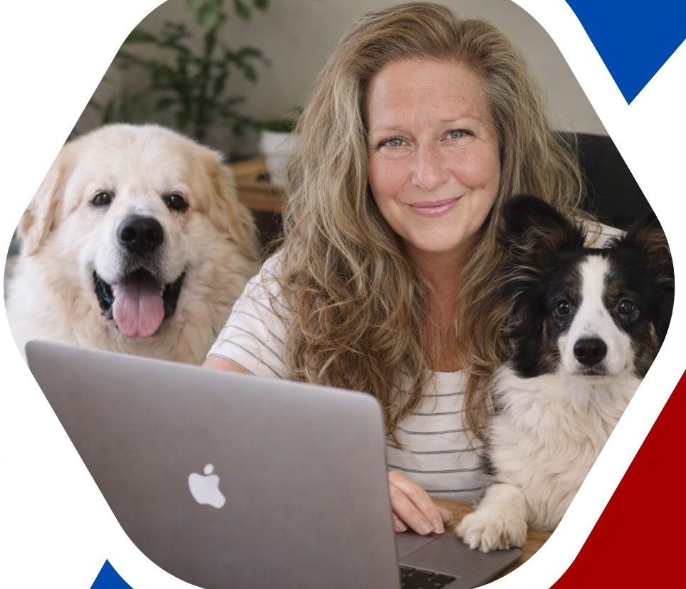 Web developer and SEO experts for pet industry businesses